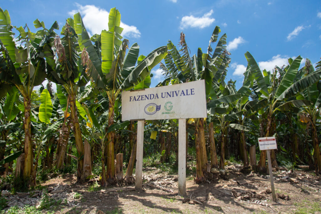 placa da fazenda